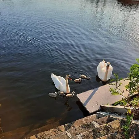Strandhof Apartment Moehnesee